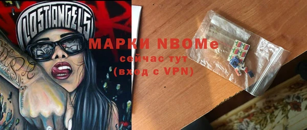 стаф Инсар