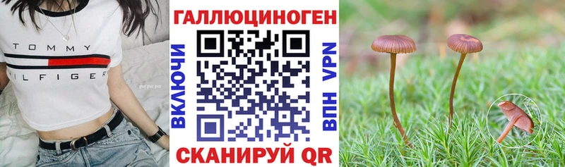 Купить где  Костомукша  Галлюциногенные грибы мицелий 